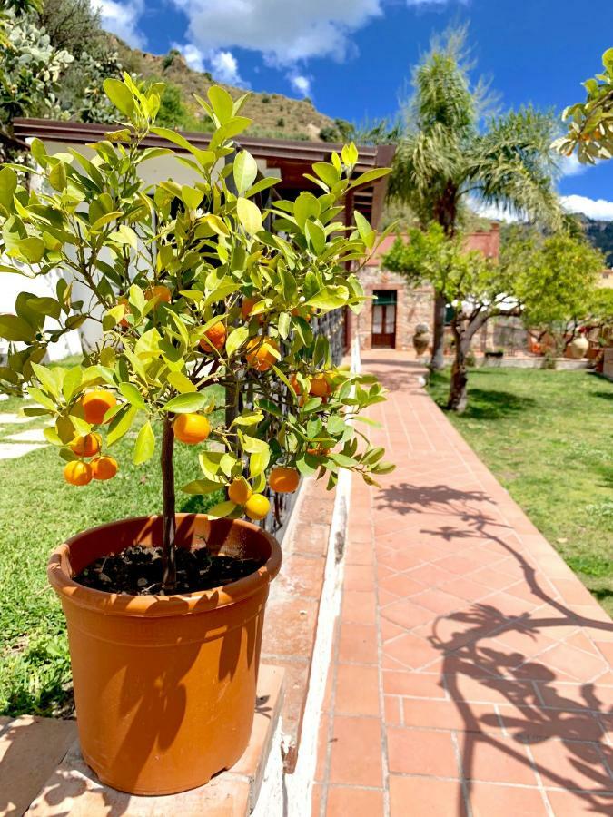 B&B Villa Vittoria Джардини-Наксос Экстерьер фото